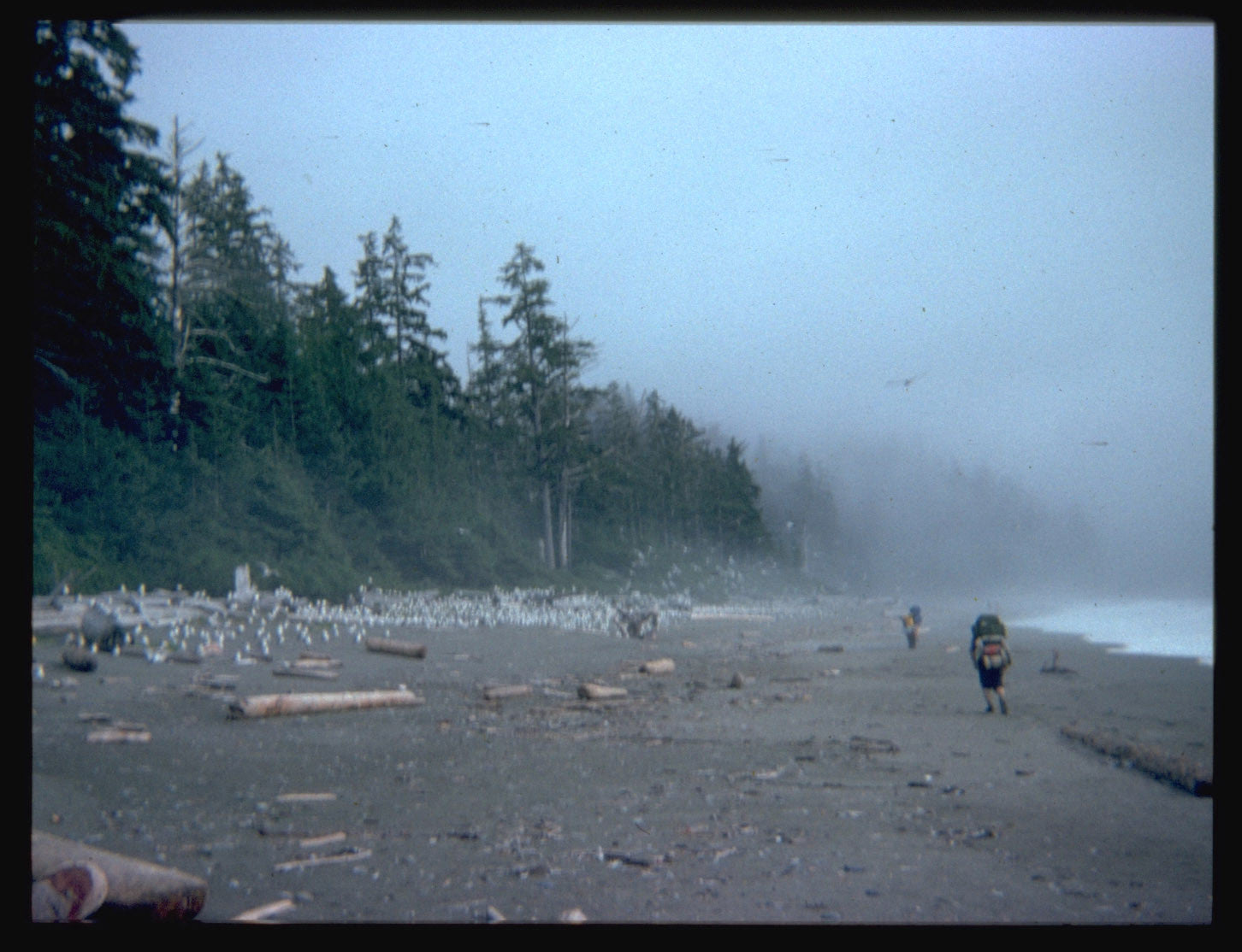 Tom hiking on a foggy beach back in 1974.
