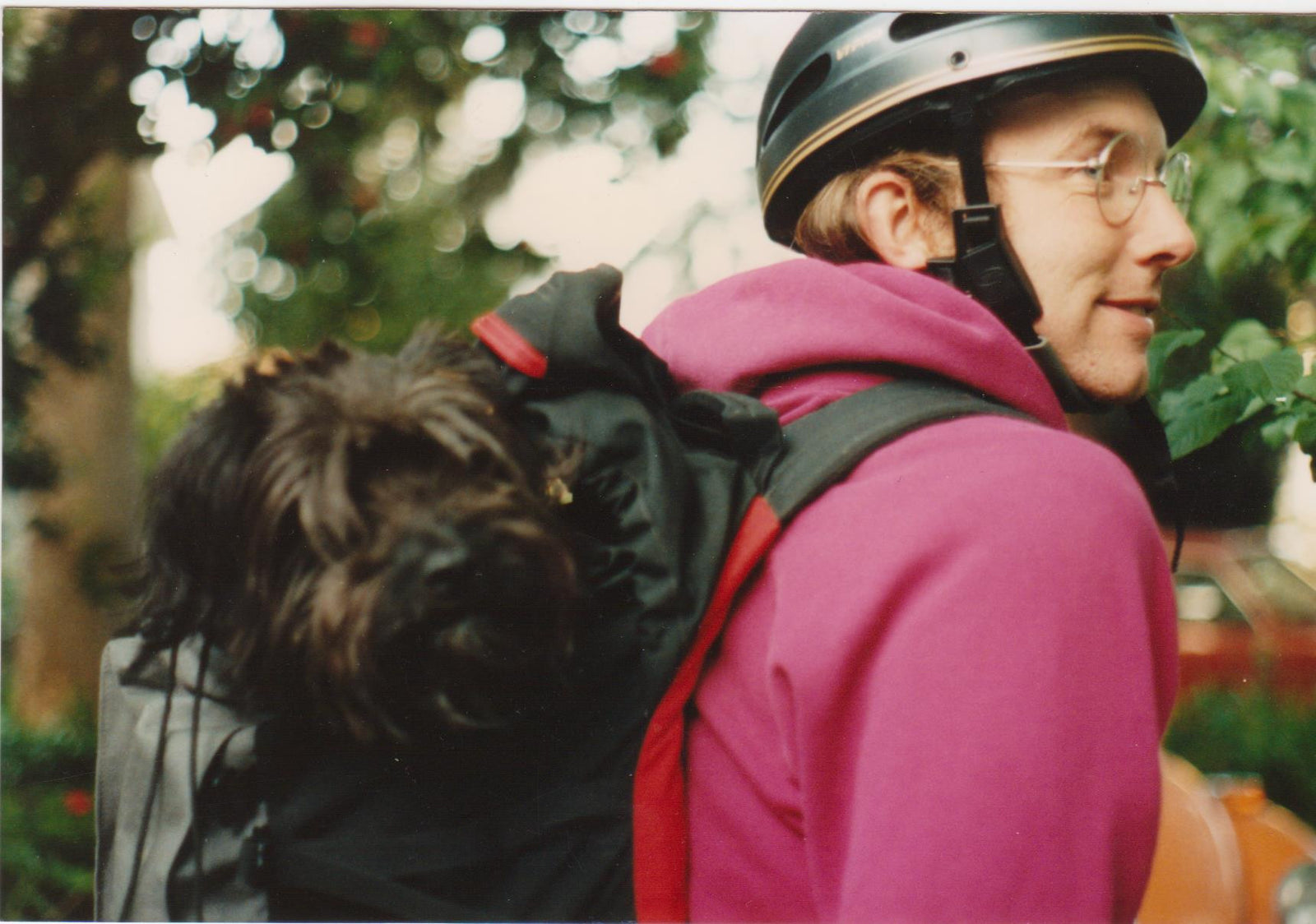 Tom wearing a bike helmet and carrying a backpack with his dog Faux Pas in the backpack itself!