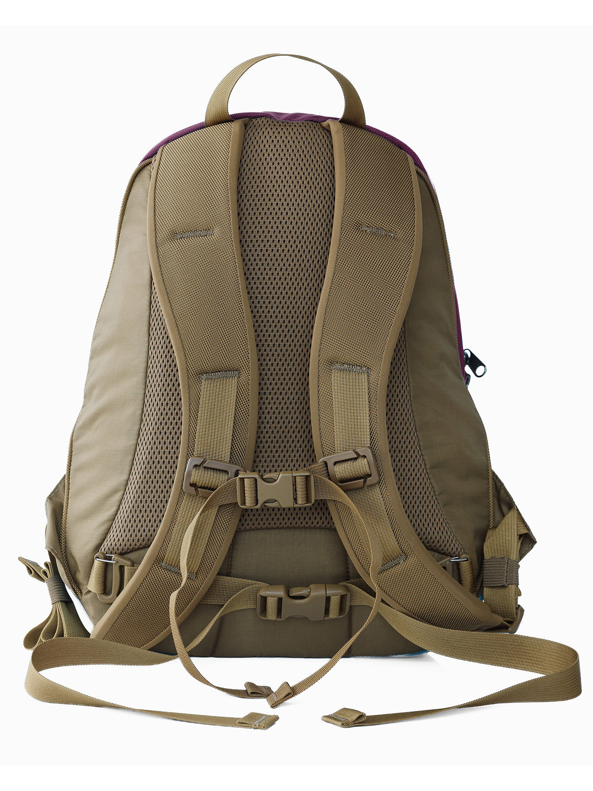 visible variant TB0180-UKCD^^Guide's Edition Synapse 19 in Aubergine Ballistic