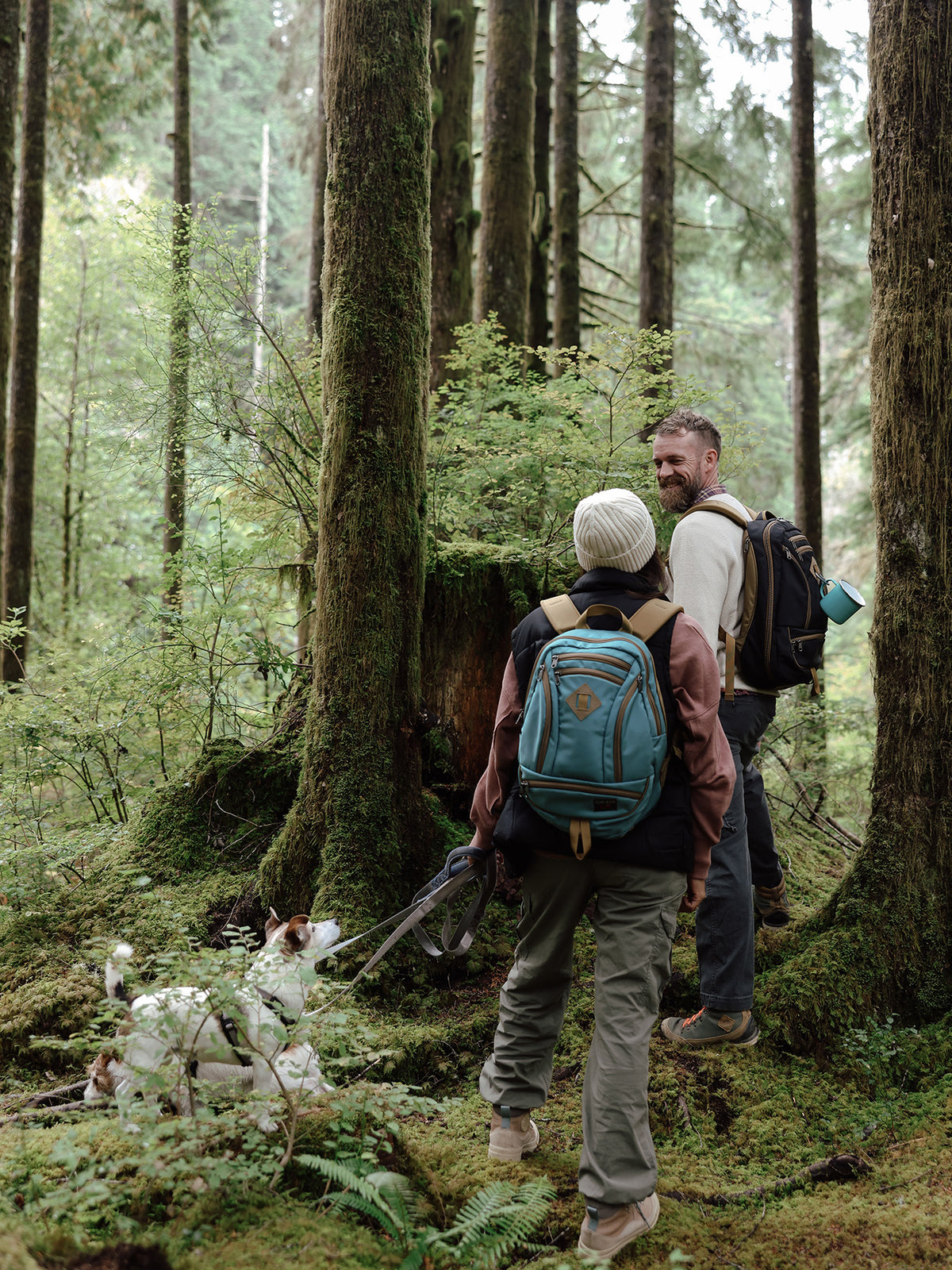 visible lifestyle^^A person carrying a GE Synapse 19 in an old-growth forest