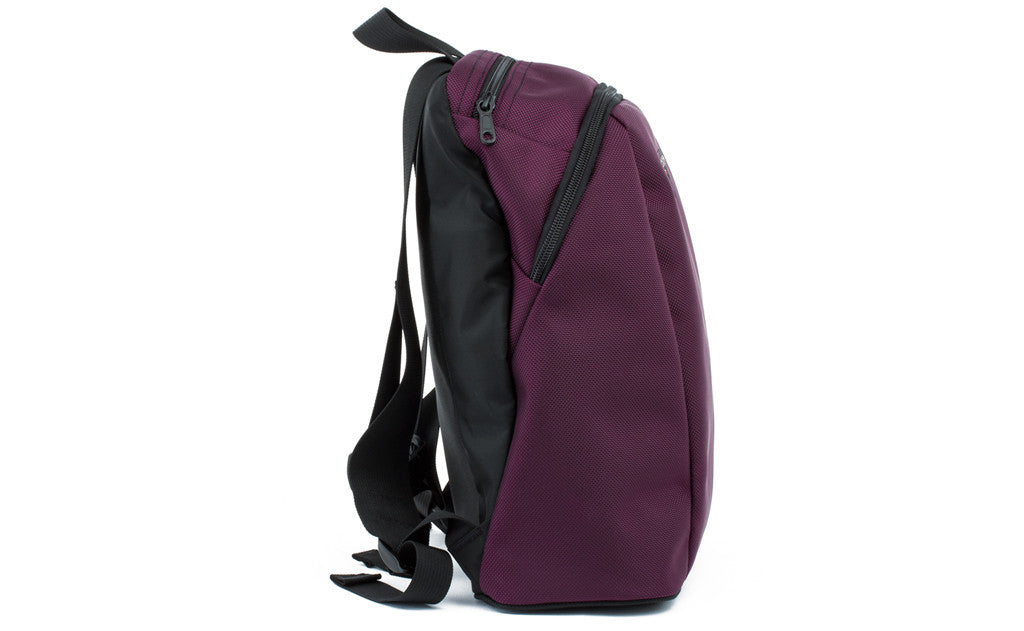 visible variant TB0106-ABND^^A profile shot of The Sprout in Aubergine (purple) 1050 Ballistic.