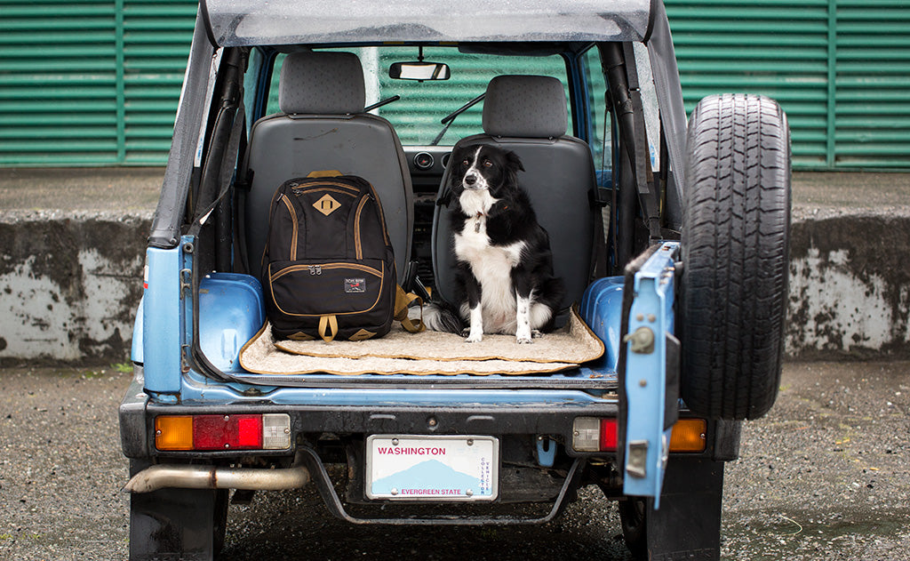 lifestyle visible^^A Guide's Edition Synapse 25 in the back of a Suzuki Samurai.
